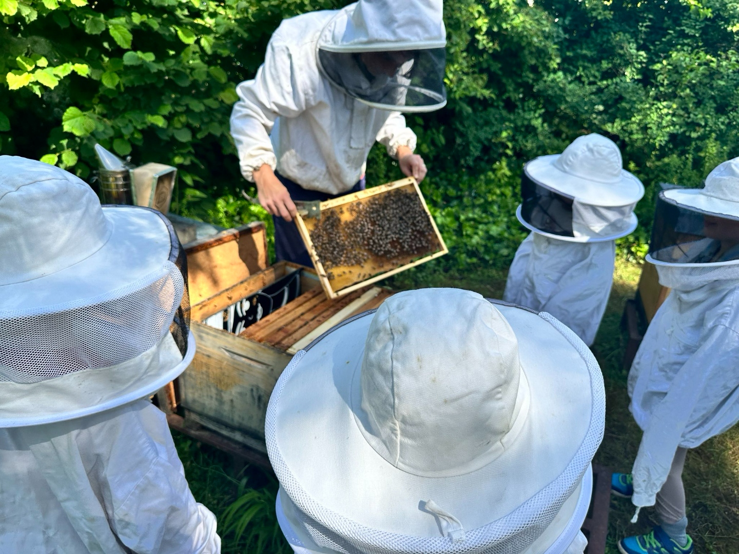 Kinder beim Imkern im Tageskindergarten